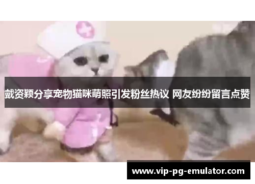 戴资颖分享宠物猫咪萌照引发粉丝热议 网友纷纷留言点赞