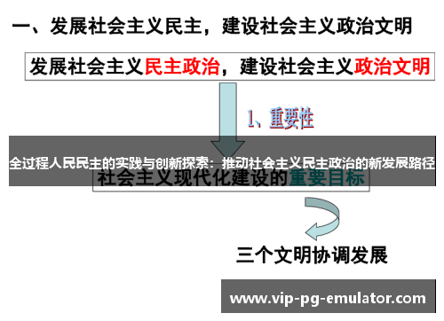 全过程人民民主的实践与创新探索:推动社会主义民主政治的新发展路径