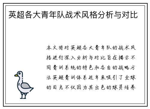 英超各大青年队战术风格分析与对比