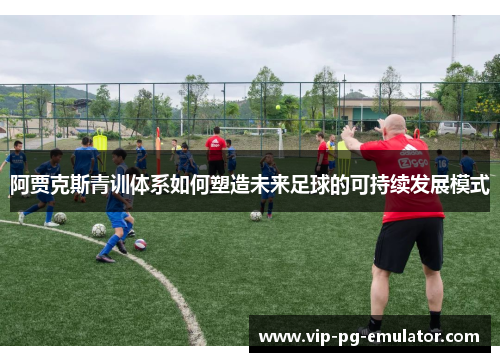 阿贾克斯青训体系如何塑造未来足球的可持续发展模式 阿贾克斯青训体系如何塑造未来足球的可持续发展模式