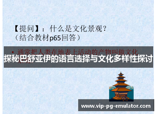 探秘巴舒亚伊的语言选择与文化多样性探讨