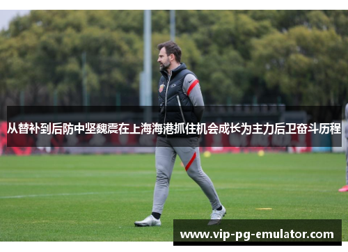 从替补到后防中坚魏震在上海海港抓住机会成长为主力后卫奋斗历程