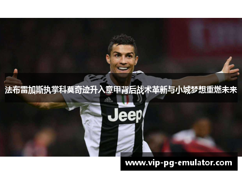 法布雷加斯执掌科莫奇迹升入意甲背后战术革新与小城梦想重燃未来