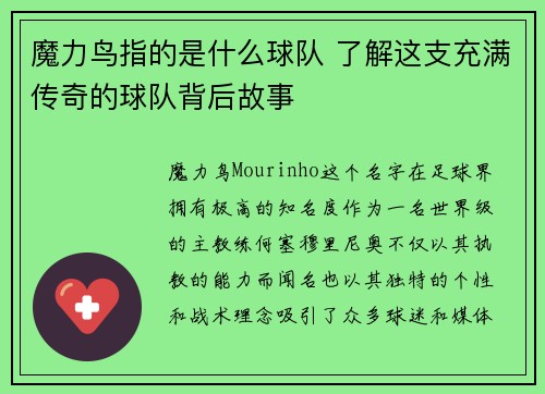 魔力鸟指的是什么球队 了解这支充满传奇的球队背后故事 魔力鸟指的是什么球队 了解这支充满传奇的球队背后故事