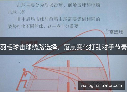 羽毛球击球线路选择，落点变化打乱对手节奏