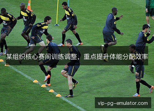 某组织核心赛间训练调整,重点提升体能分配效率 某组织核心赛间训练调整,重点提升体能分配效率
