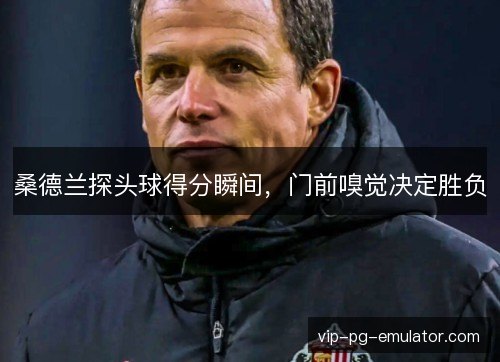 桑德兰探头球得分瞬间，门前嗅觉决定胜负