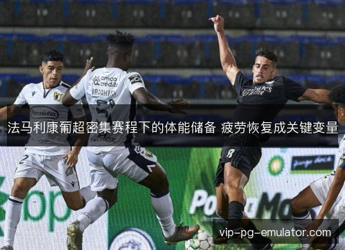 法马利康葡超密集赛程下的体能储备 疲劳恢复成关键变量