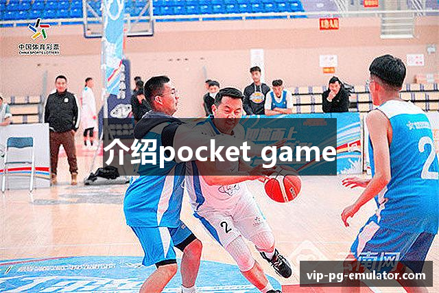 介绍pocket game